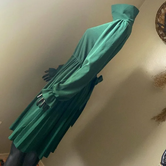 Elegant Green Long Sleeve Pleated Dress - Picture 6 of 12